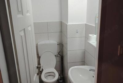 Apartament cu 3 camere decomandat în Luncă - 7