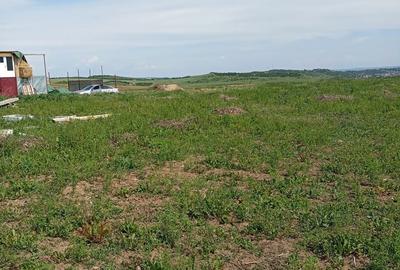 Spațiu comercial, în Copăceni - 5