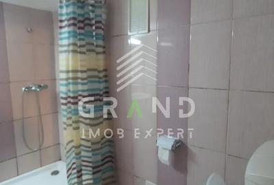 Apartament 1 camera de inchiriat, nivel demisol, perfect pentru tineri - Gruia Apartament 1 camera de inchiriat, nivel demisol, perfect pentru tineri - Gruia - 6