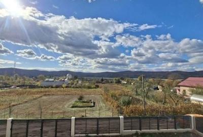 Casă cu 3 camere cu Teren 1620 Mp în Zigoneni - 6