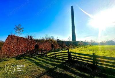 Teren de 71220 mp, în Bârsa - 14