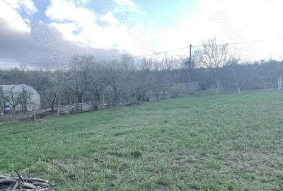 Teren de 1000 mp, în Șorogari - 4