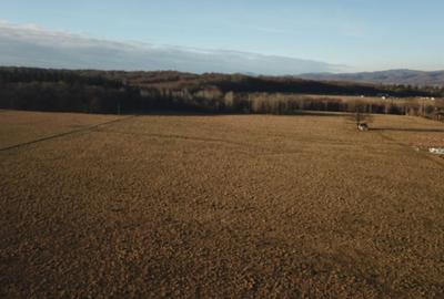 Teren de 12000 mp, în Vlădeni - 4