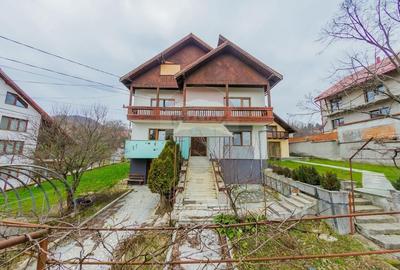 De inchiriat-casa ideala pentru sediu sau spatiu comercial-Parcul Mare - 2