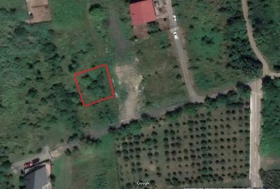 Teren de 600 mp, în Săsar - 3