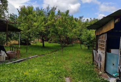 Casă individuală cu 5 camere cu Canalizare în Nord-Est - 22