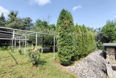 Casă cu 5 camere cu Teren 1090 Mp în Târnăveni - 8