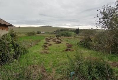Teren de 1700 mp, în Florești - 3