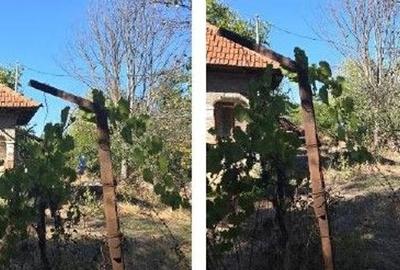 Casă cu 2 camere cu Teren 1703 Mp în Odobești - 2