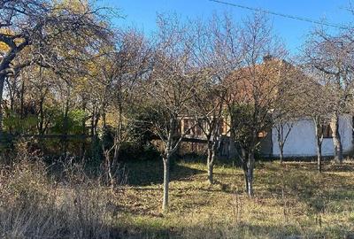 Casă cu Teren 3000 Mp în Central - 4