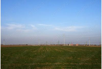 Teren de 22500 mp, în Fetești-Gară - 2