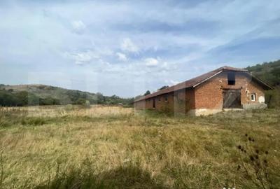 Teren de 3000 mp, în Filiași - 3