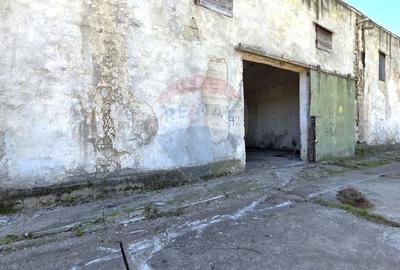 Vanzare hala industriala in Colonia Bod, judet Brasov - 7