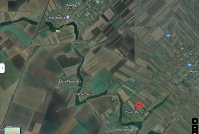 Teren de 2950 mp, în Chiroiu-Pământeni - 5