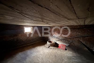 Casa individuala de vanzare cu 3 camere 1020 mp teren in Hamba - 16