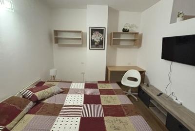 Apartament 1 cameră generos zona Complex - 13