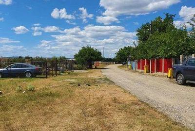 Teren de 2000 mp, în Letea Veche - 4