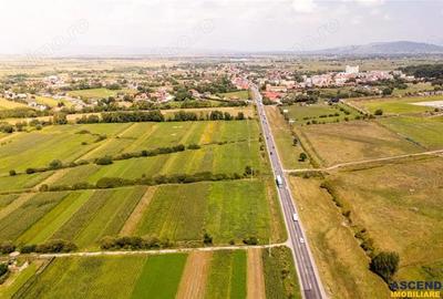 Teren extravilan Lunca Calnicului langa E574 - 5