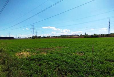 Teren intravilan de 13652 mp, în Theodor Pallady