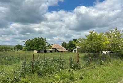 Vand tren cu casa nelocuibila - 5