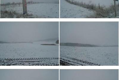 Teren Corbita, ID: R1984008 - 1