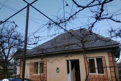 Satulung 17 km de Baia Mare, vindem gospodarie traditionala cu 26 ari - 10