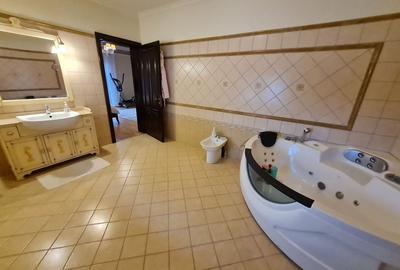 Poziție de top în Dumbravita Poziție de top în Dumbravita - 31