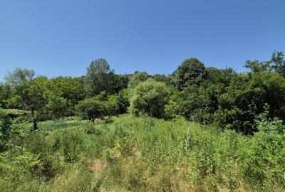 Casa tradi?ionala ?i teren generos, in comuna Dragu?e - 10