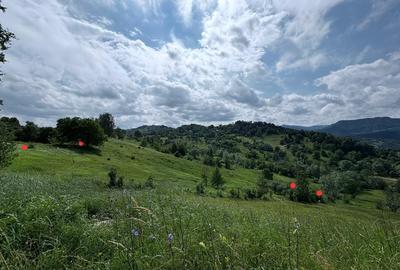 Buzau Teren de vanzare La Bisoca aproape de strada - 3