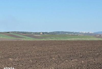 Teren de 5000 mp, în Rediu - 1