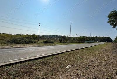 PROPRIETAR vind teren 4000 mp la PADUREA VERDE - Calea Timisoarei - langa POLIGON AJVPS - 3