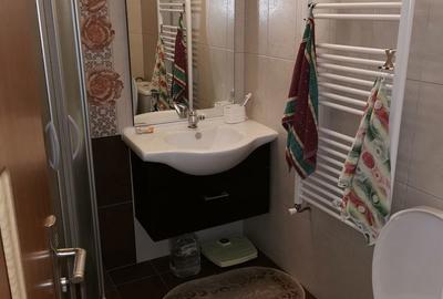Apartament cu 2 camere decomandat în Obcini - 13