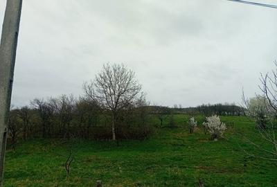 Spațiu comercial, în Coldău - 1