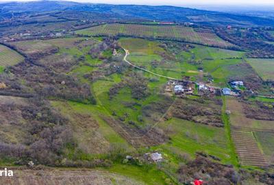 Spațiu comercial, în Valea Orlei - 13