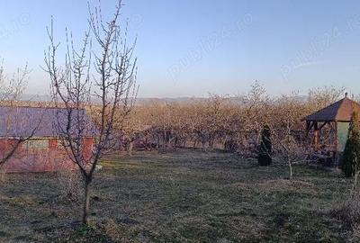 Teren de 2700 mp, în Central - 1