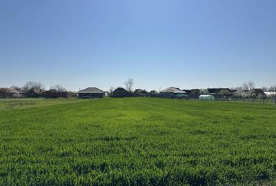 Spațiu comercial, în Gepiu - 5