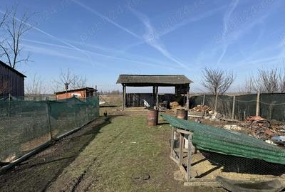 Casă cu 2 camere cu Teren 1100 Mp în Cadea - 6