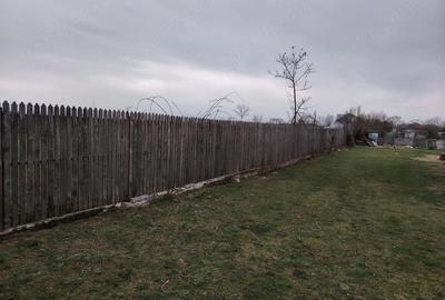 Casă cu Teren 3000 Mp în Mircea Vodă - 4