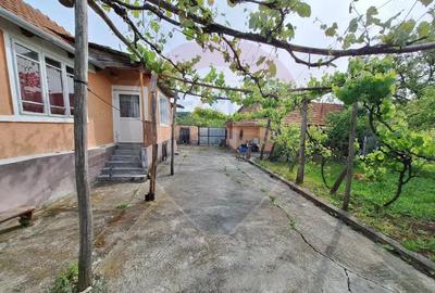 Casa cu teren 3100mp in Hidiselu de Sus - 3