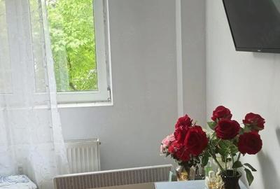 Apartament cu 2 camere semidecomandat în Sebastian - 10