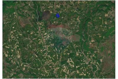 Teren agricol extravilan de 10059 mp, în Roșia - 3