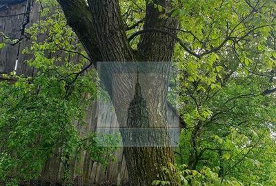 Casa batraneasca de vanzare in Tarlungeni - 4