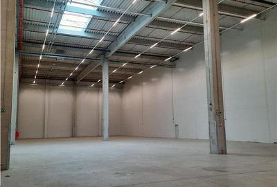 Spațiu comercial, de 2,500 mp, în Florești - 12