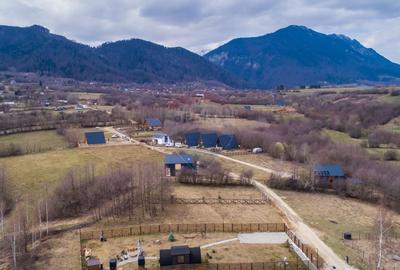 Teren Construcții intravilan de 850 mp, în Tohănița - 12