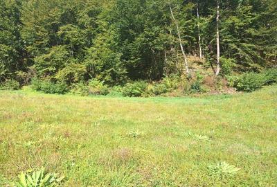 Spațiu comercial, în Măguri - 5