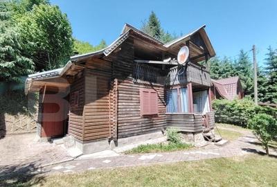 Cabana 5 camere Salard - 8