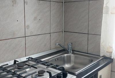 Apartament cu 2 camere decomandat în Ostroveni - 4