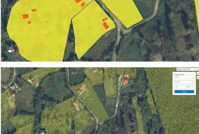 Casă cu 2 camere în Patricheni - 2