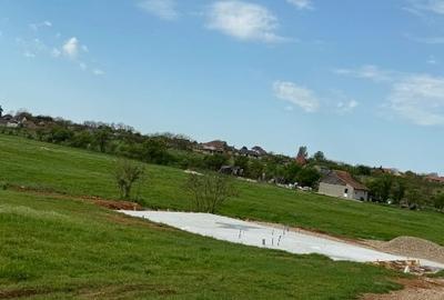 Teren intraan chisirid - 2