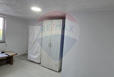 Casă individuală cu 6 camere cu Garaj în Mișca - 18